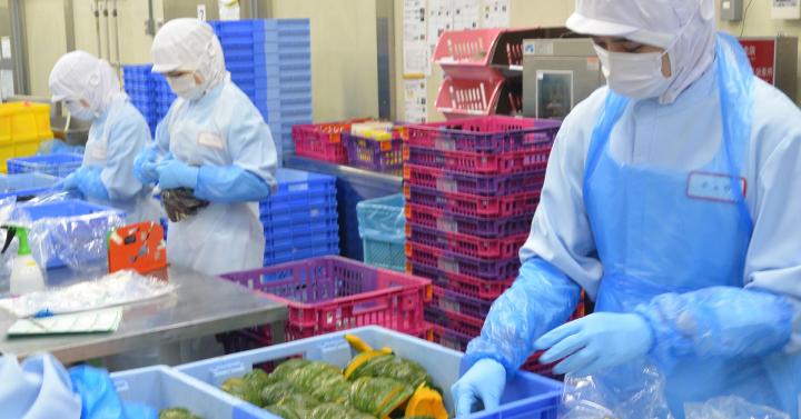 food processing
